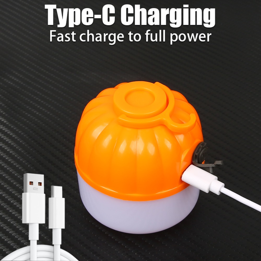 Portable Mini Camping Lamp 4 L - Outdoor Lighting Lanterns 评论和价格