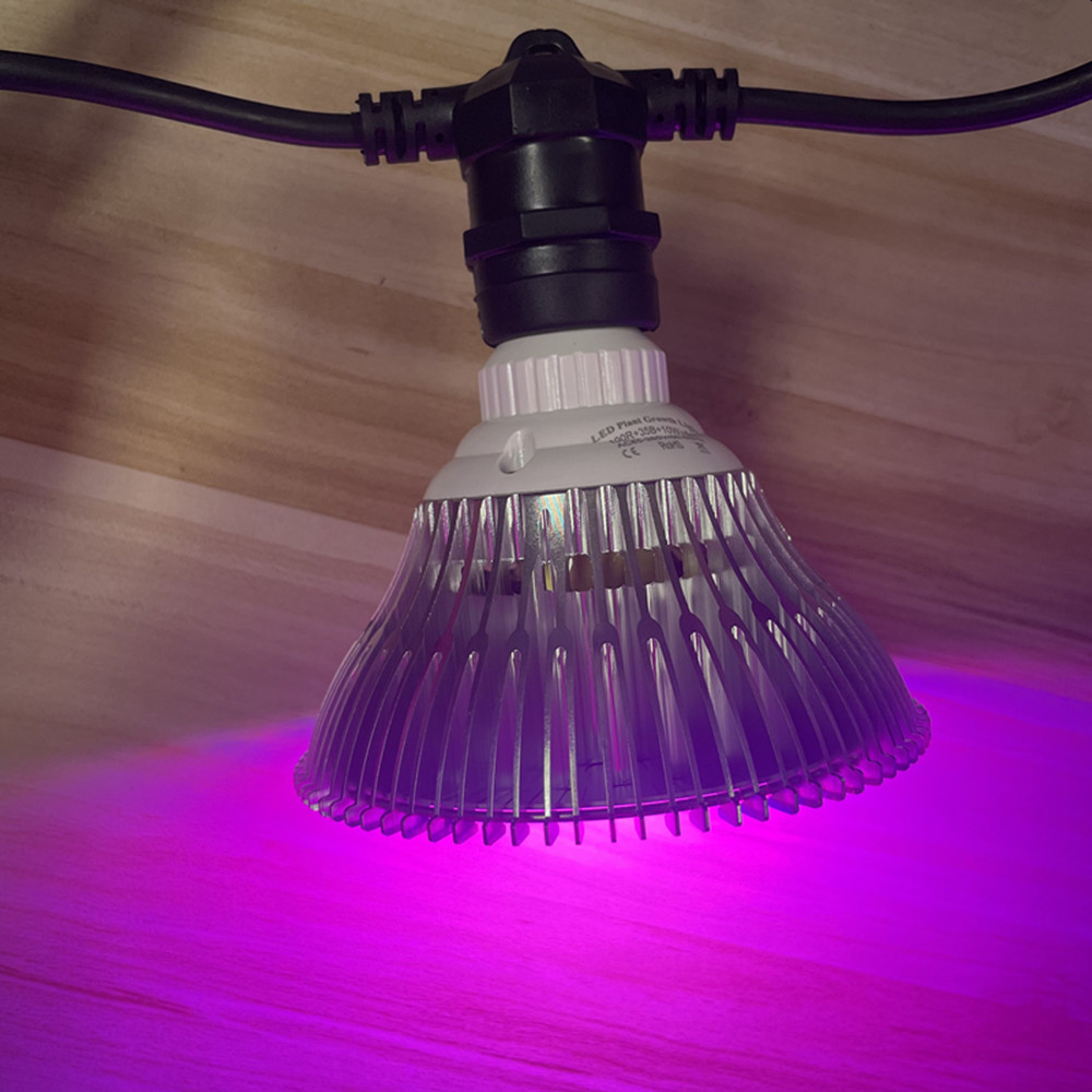 10M Cable LED String Commercia - Outdoor Lighting Setup 评论和价格