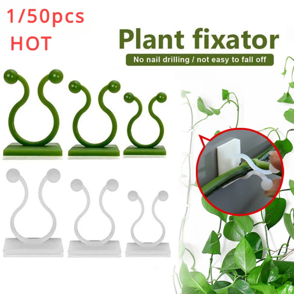 1/30/50Pcs For Garden Accsesor - Outdoor Lighting Manufacturers 评论和价格
